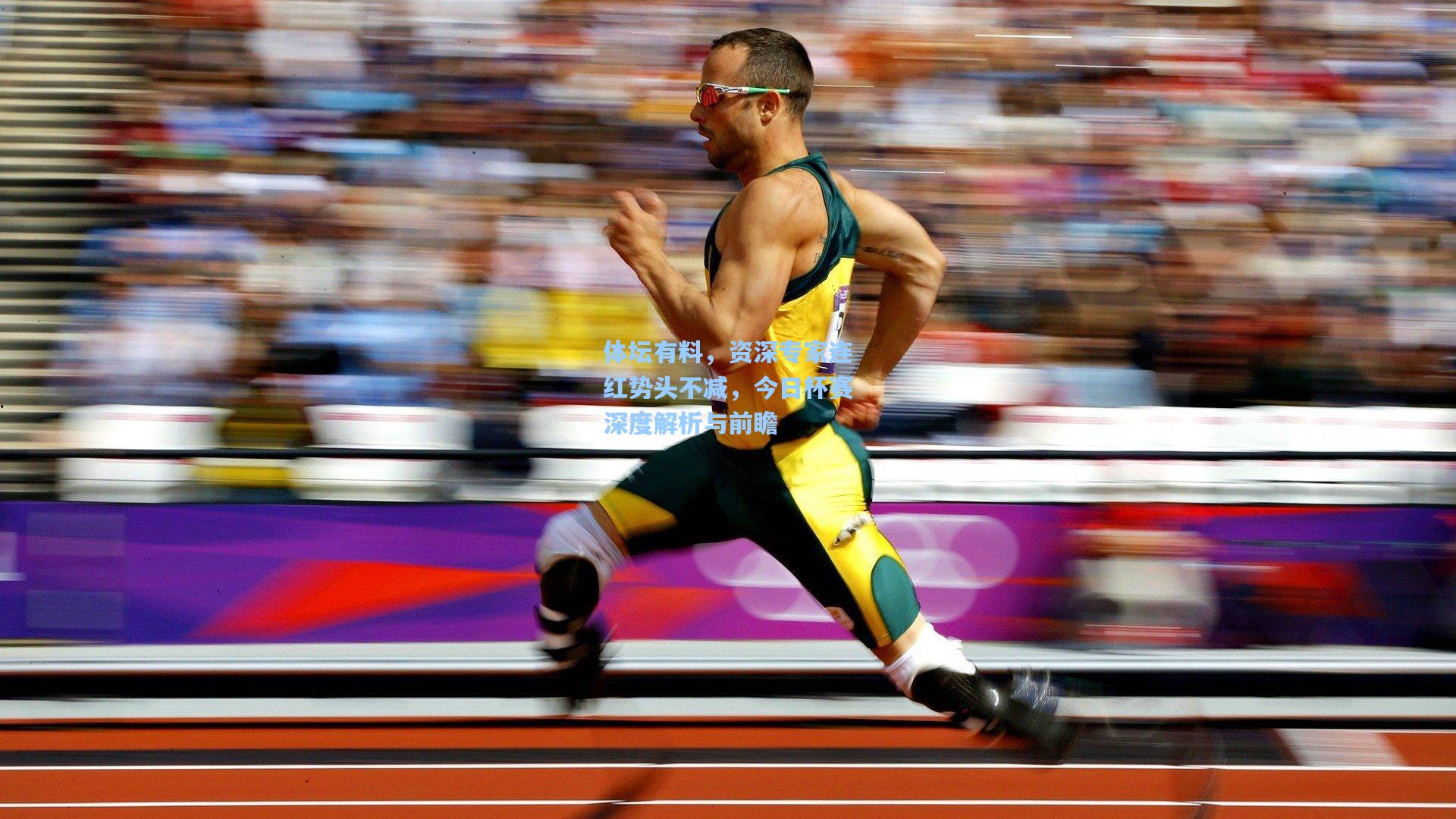 体坛有料，资深专家连红势头不减，今日杯赛深度解析与前瞻